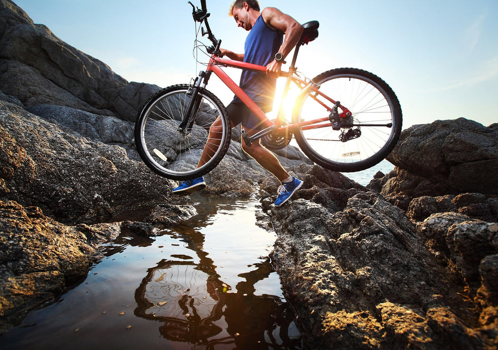 Mirum est notare quam littera